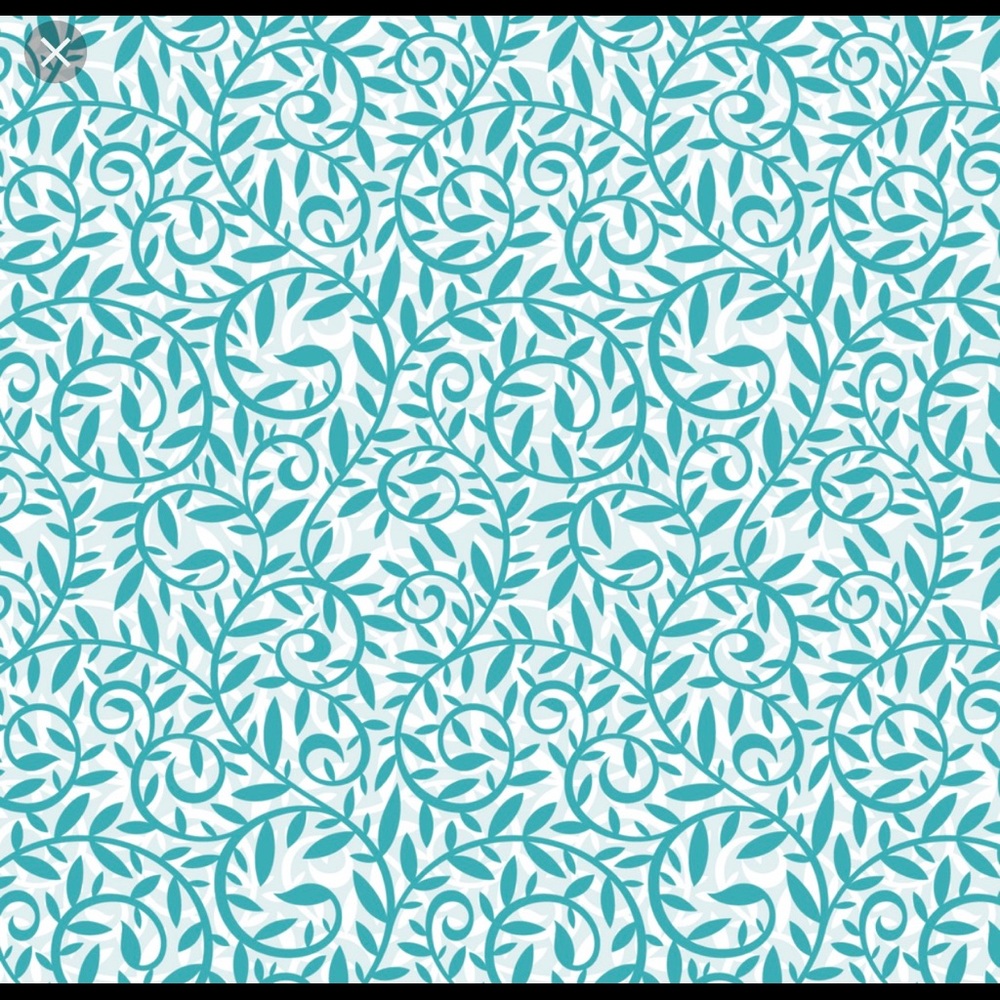 Meet your Posher, Lily